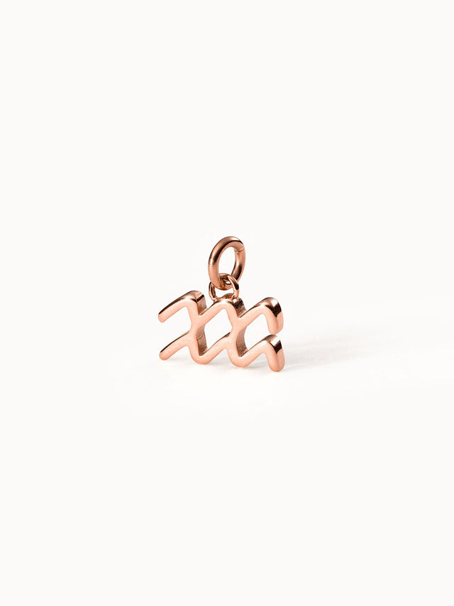 PURELEI Wassermann Zodiac Charm aus rosévergoldetem Edelstahl, elegant minimalistisch auf weißem Hintergrund
