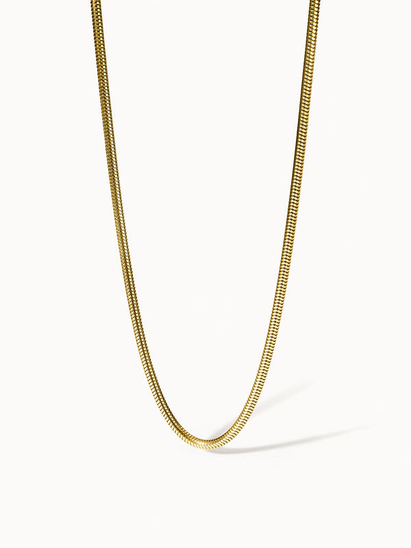 {"color":"Gold", "type":"lead_image"}