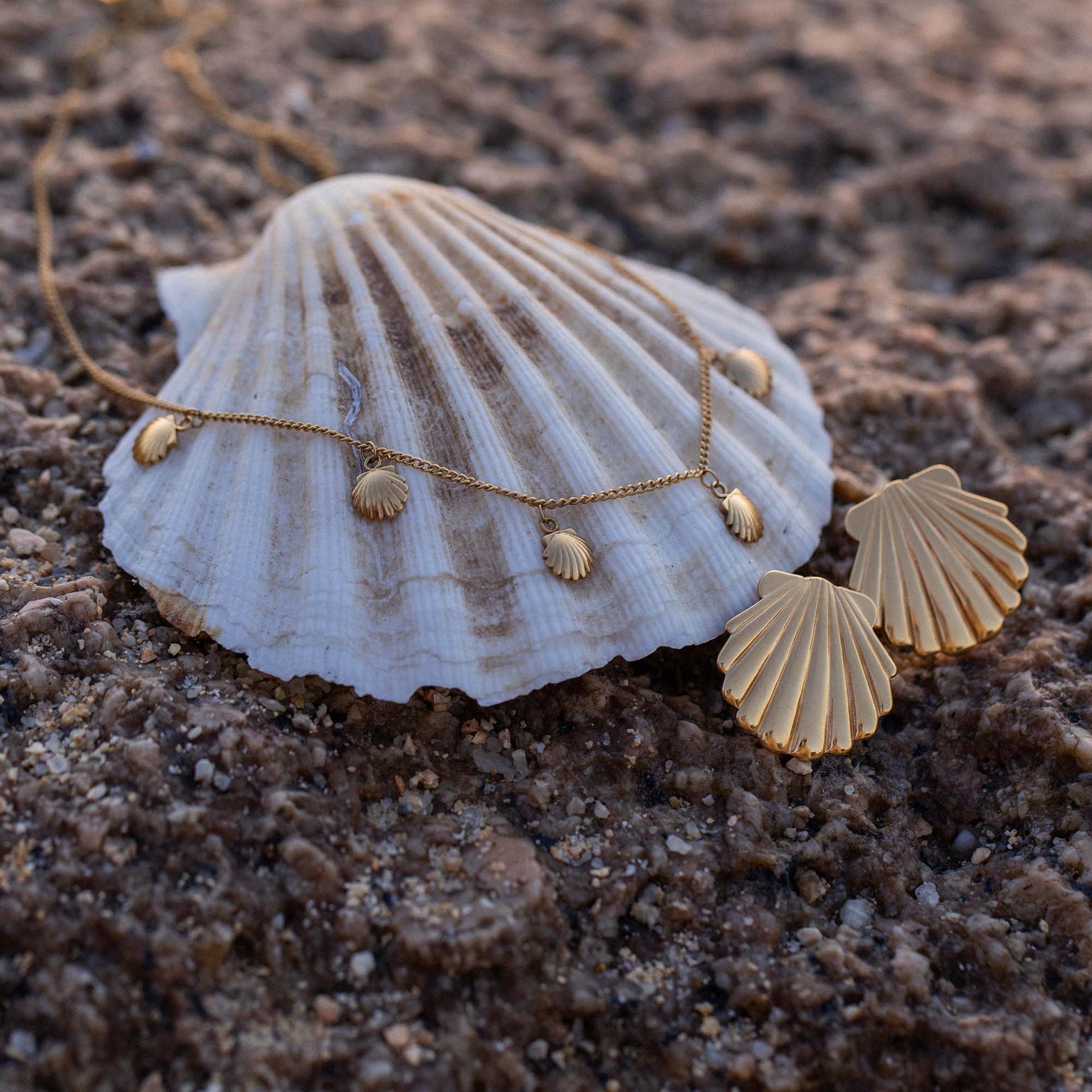 Kalea Shell Kette von PURELEI mit goldenen Muschel-Anhängern auf natürlichem Strandboden, elegant und feminin.