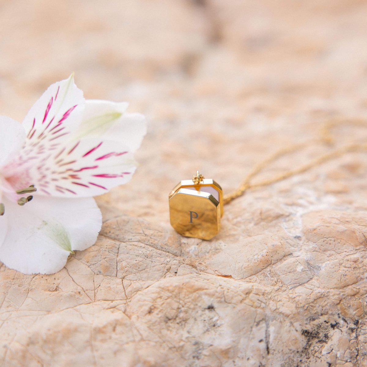 Elegance Medallion Necklace - INT PURELEI