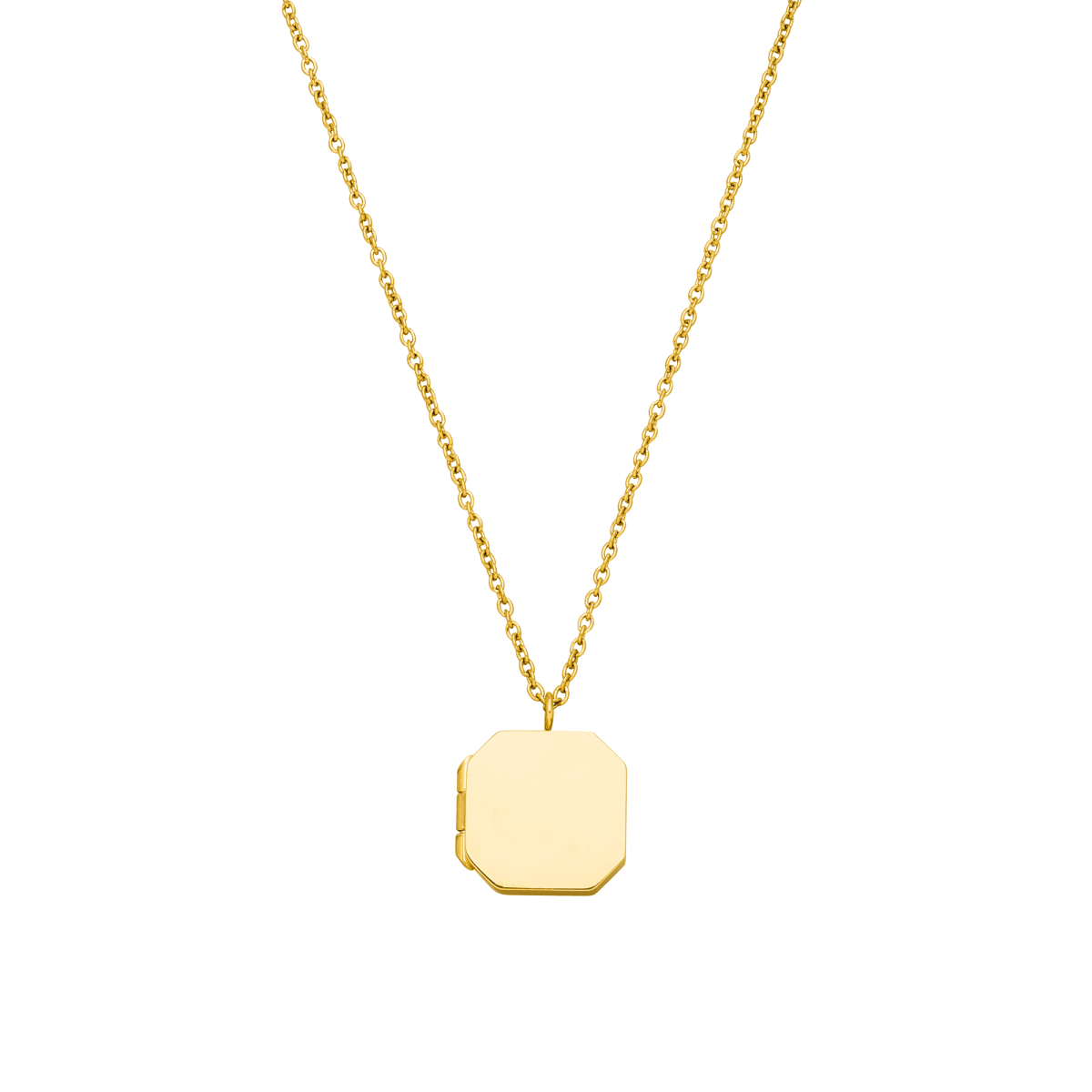 Elegance Medallion Necklace - INT PURELEI