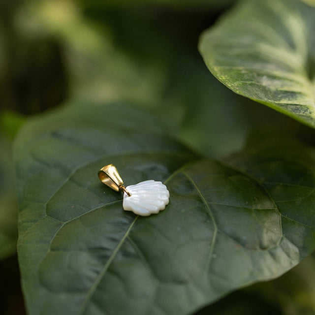 White Sparkle Charm von PURELEI, goldener Edelstahl mit weißem Muschel-Perlen-Anhänger auf grünem Blatt.